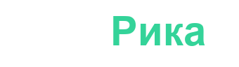 Plausible logo